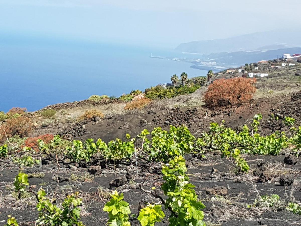 House The Vinas 2 With Views Of The Sea, The Mountains And The Volcanoes Holiday home Fuencaliente de la Palma